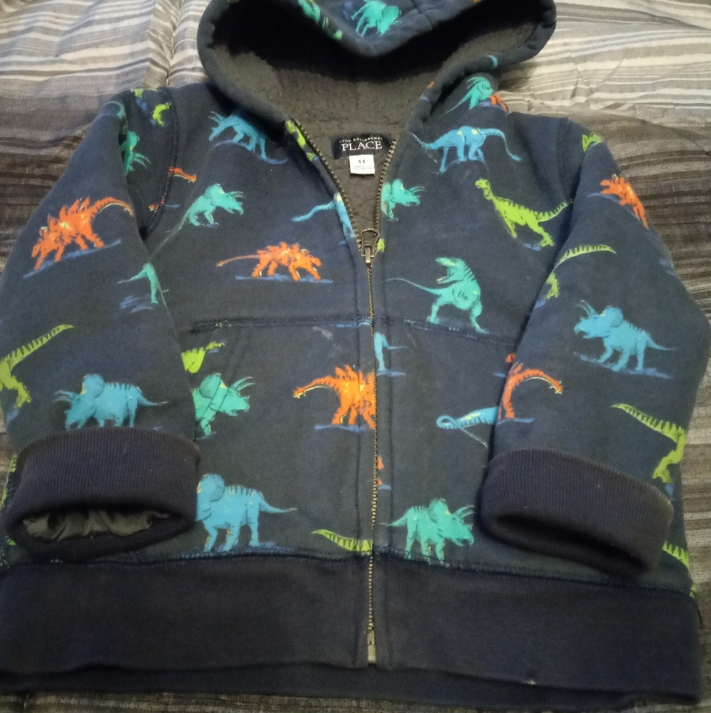 Dino sweatshirt